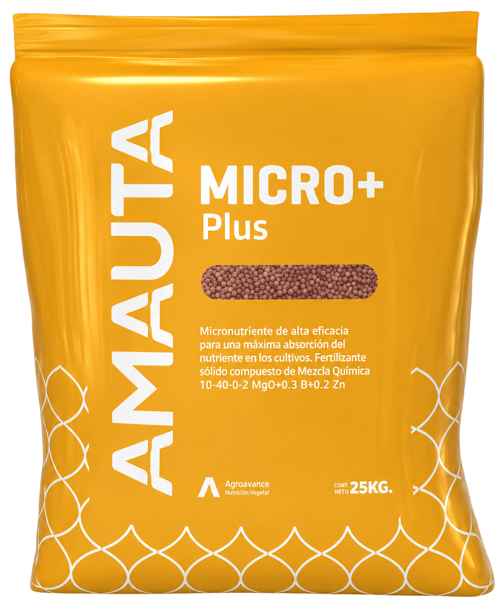AMAUTA MICRO + PLUS